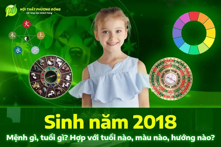 Nam Sinh Năm 2018 Hợp Hướng Nào