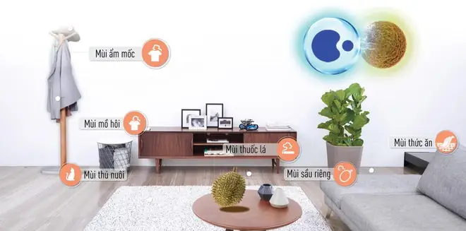 Bæ°á»c 1: Kiá»m Tra Vã Xã¡c Äá»nh Nguá»n Gá»c Cá»§a Mã¹i Áº©m Má»c Bæ°á»c 1: Kiá»m Tra Vã Xã¡c Äá»nh Nguá»n Gá»c Cá»§a Mã¹i Áº©m Má»c