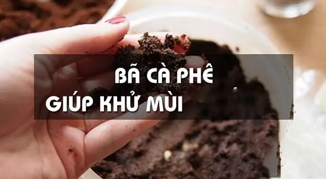 Tham Khảo Cã¡ch Khá» Mã¹i Áº©m Má»c Trong Phã²ng Kãn Tham Khảo Cã¡ch Khá» Mã¹i Áº©m Má»c Trong Phã²ng Kãn