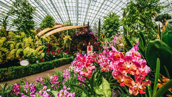 Nhà Kính Đẹp Nhất Thế Giới