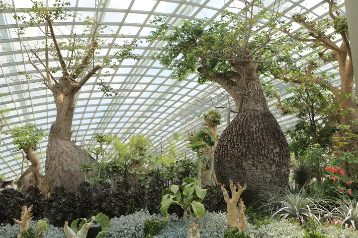 Nhà Kính Đẹp Nhất Thế Giới