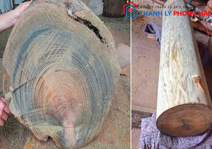 Cách Nhận Biết Gỗ Đổi Màu Thật