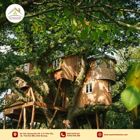 Nhà Trên Cây Thú Vị