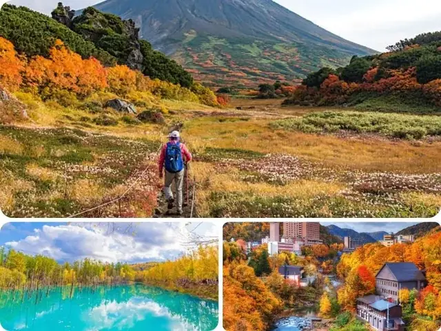 Hokkaido - Địa Điểm Du Lịch Nhật Bản Mùa Thu