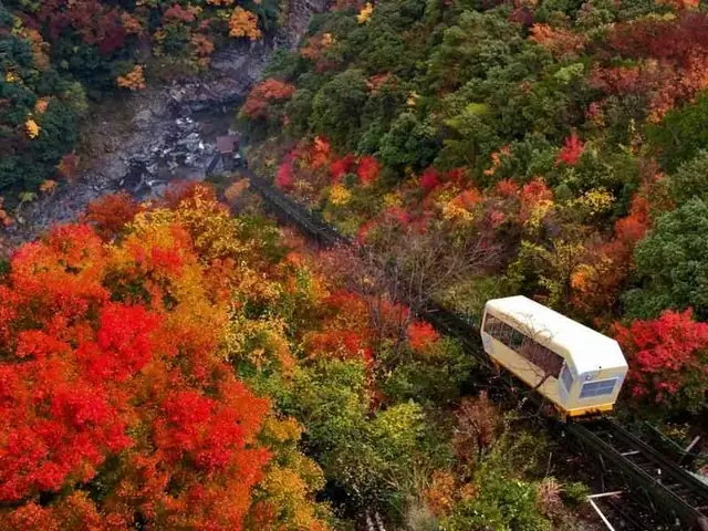 Mùa Thu Nhật Bản Tháng Mấy?