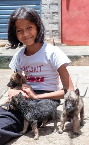 Hướng Dẫn Chọn Nội Thất Cho Trẻ Em An Toàn Và Sáng Tạo