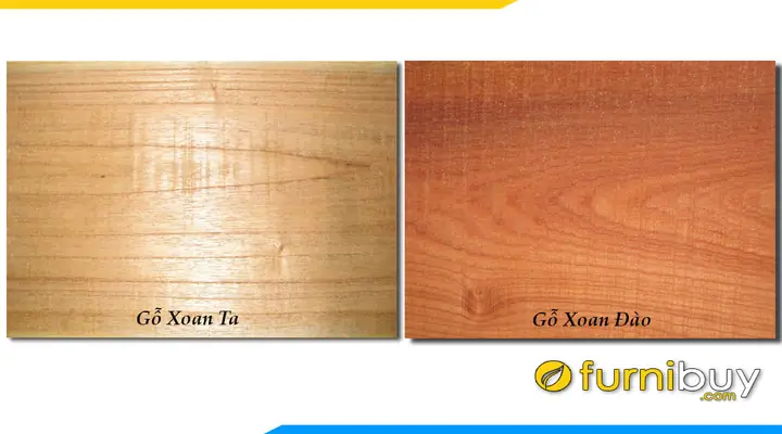 So Sánh, Nhận Biết Gỗ Xoan Đào Và Gỗ Xoan Ta So Sánh, Nhận Biết Gỗ Xoan Đào Và Gỗ Xoan Ta