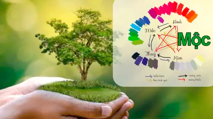 Phong Thủy Bàn Làm Việc Cho Người Mệnh Mộc