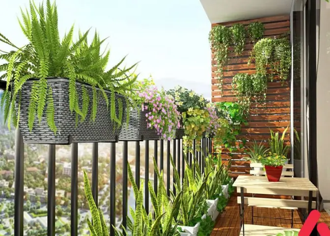 Sử Dụng Cây, Hoa Làm Phụ Kiện Trang Trí Ban Công Sử Dụng Cây, Hoa Làm Phụ Kiện Trang Trí Ban Công