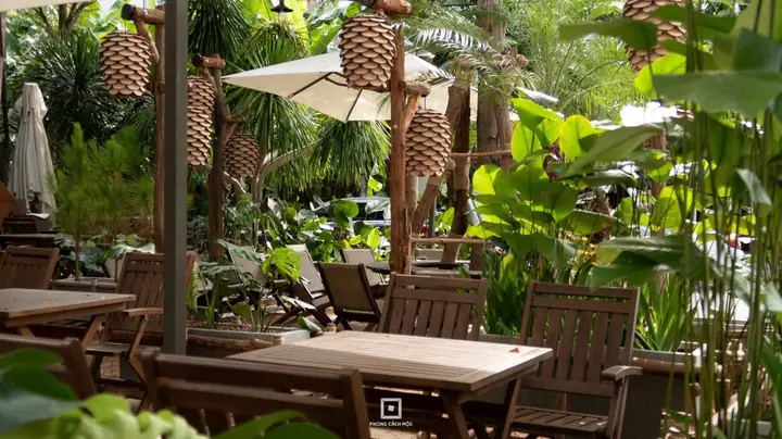 Một Số Mẫu Quán Cafe Đẹp Với Không Gian Mở