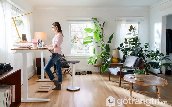 Cây Trang Trí Cây Trang Trí