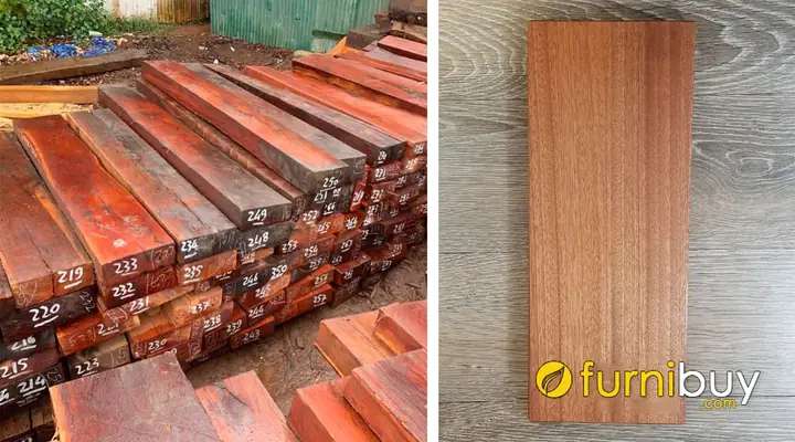 So Sanh Go Cam Xe Va Go Xoan Dao Chon Loai Nao