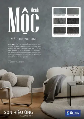 Gia Chủ Mệnh Mộc Nên Chọn Màu Sơn Nhà Đẹp 2025 Nào?