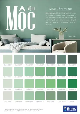 Gia Chủ Mệnh Mộc Nên Chọn Màu Sơn Nhà Đẹp 2025 Nào?