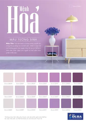 Gia Chủ Mệnh Hoả