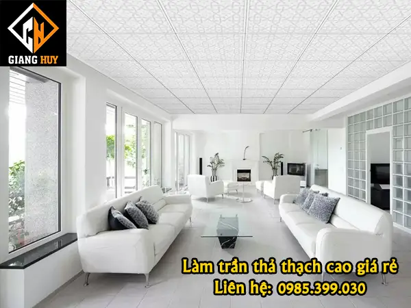 Trần Thạch Cao Thả