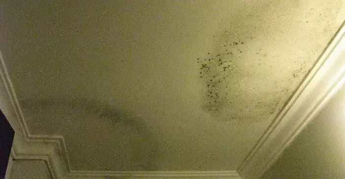 Dấu Hiệu Trần Thạch Cao Bị Thấm Nước