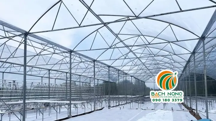 Các Hình Ảnh Về Nhà Kính Trồng Rau Đã Thi Công Các Hình Ảnh Về Nhà Kính Trồng Rau Đã Thi Công