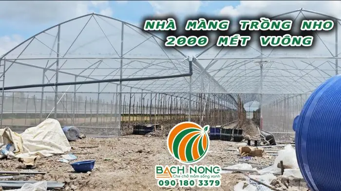 Các Hình Ảnh Về Nhà Kính Trồng Rau Đã Thi Công Các Hình Ảnh Về Nhà Kính Trồng Rau Đã Thi Công