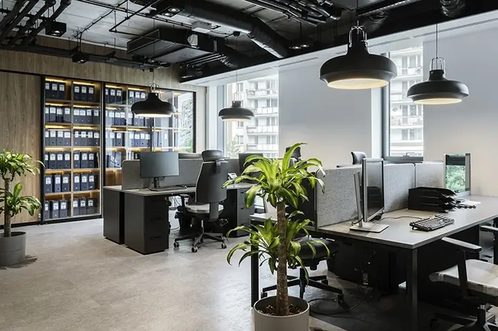 Đặt Cây Xanh Trong Văn Phòng: