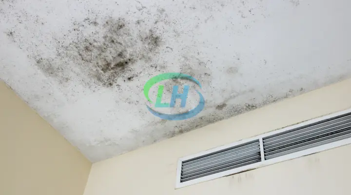 Sửa Trần Thạch Cao Ẩm Mốc, Bong Tróc