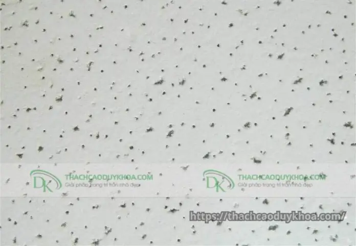 Tại Sao Bạn Nên Tin Tưởng Và Lựa Chọn Trần Sợi Khoáng Tại Thạch Cao Duy Khoa? Tại Sao Bạn Nên Tin Tưởng Và Lựa Chọn Trần Sợi Khoáng Tại Thạch Cao Duy Khoa?