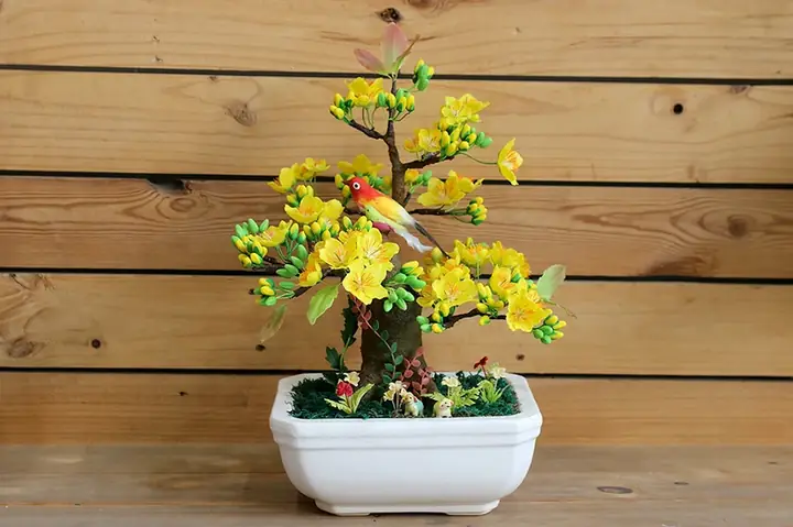 Trang Trí Cầu Thang Với Chậu Mai Hoặc Quất