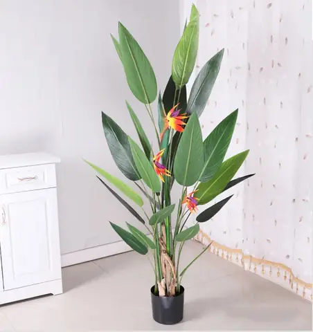 Trang Trí Cây Xanh Cho Căn Hộvới Cây Hoa Thiên Điểu Trang Trí Cây Xanh Cho Căn Hộvới Cây Hoa Thiên Điểu