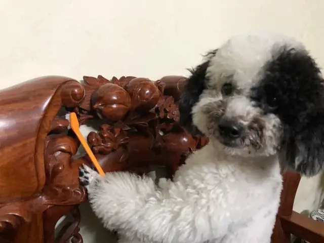 Trang Trí Cửa Ngày Tết