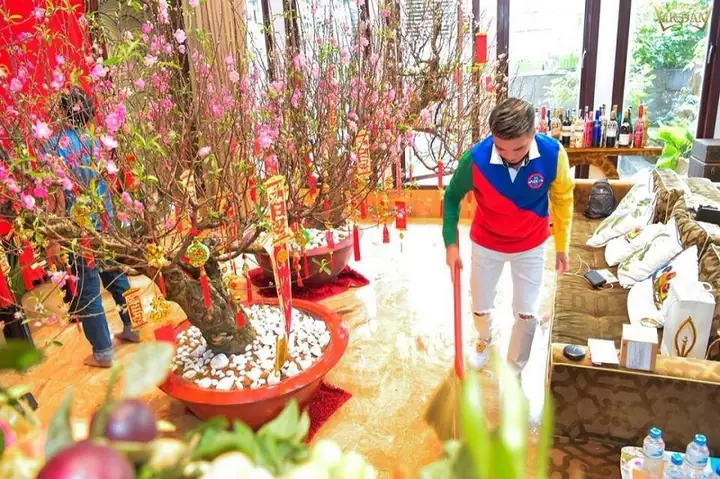 Đón Năm Mới Với Cây Cảnh Trong Phòng Khách