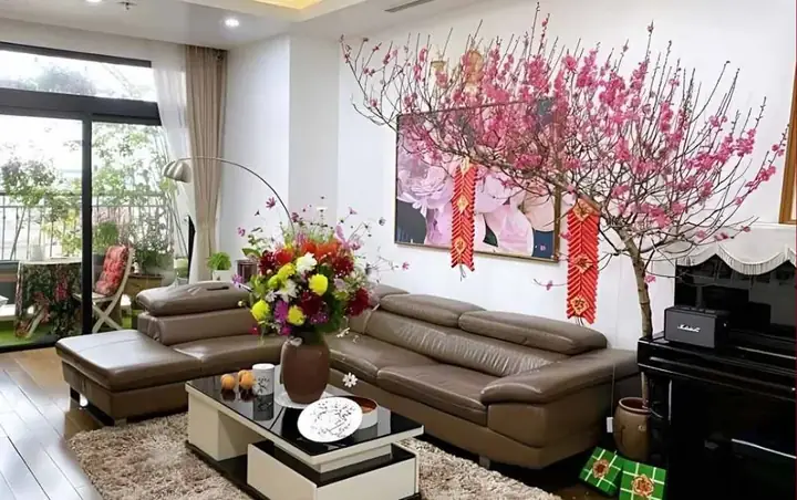 Sofa Phối Hợp Với Giàn Hoa Mai Hoặc Hoa Đào