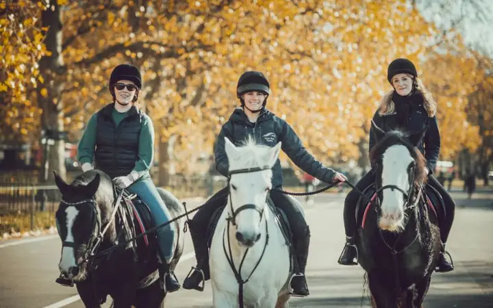 Tuổi Ngọ Hợp Màu Gì 2024?