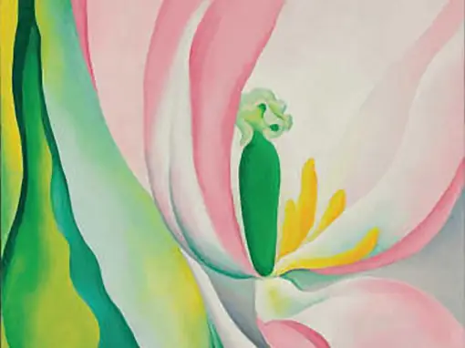 Bài Vẽ Trang Trí Sân Khấu Lớp 5 Như Thế Nào?