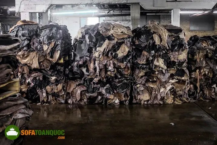 Mua Da Bò Nguyên Tấm Ở Đâu Đảm Bảo?