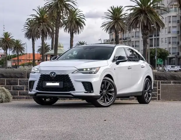 Khúc Gỗ Trang Trí: Mua Ở Đâu, Chọn Thế Nào Tô Điểm Không Gian?