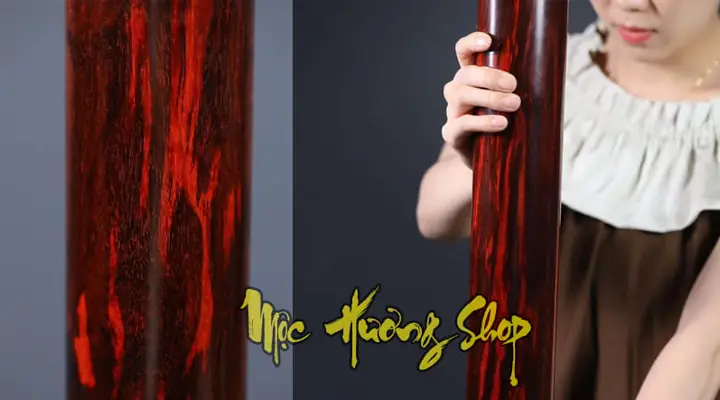 Các Loại Gỗ Màu Đỏ Phổ Biến Trong Thiết Kế Nội Thất