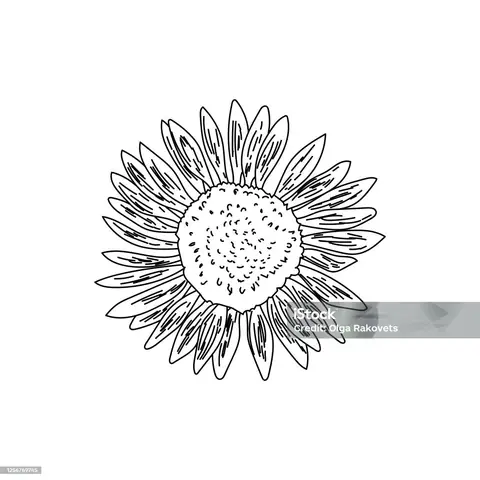 Hoạ Vẽ Trang Trí Hoa Là Gì? Hoạ Vẽ Trang Trí Hoa Là Gì?