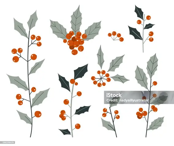 Hoạ Vẽ Trang Trí Hoa Là Gì? Hoạ Vẽ Trang Trí Hoa Là Gì?