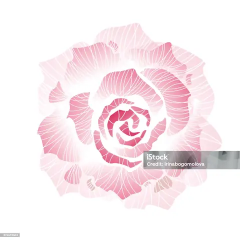 Hoạ Vẽ Trang Trí Hoa Là Gì? Hoạ Vẽ Trang Trí Hoa Là Gì?