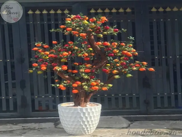 Tham Khảo Một Số Hình Ảnh Làm Cây Lựu Giả Tham Khảo Một Số Hình Ảnh Làm Cây Lựu Giả