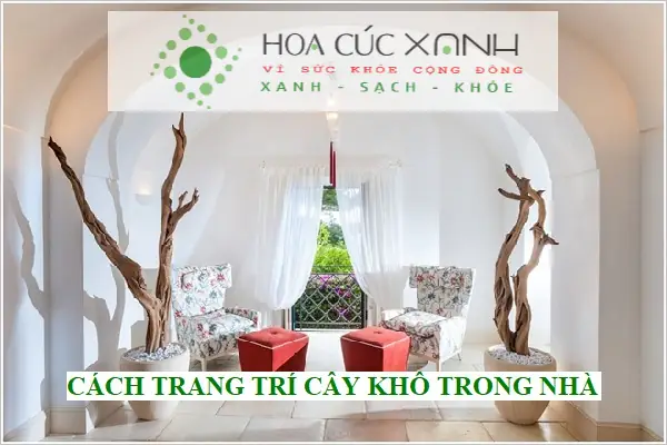 Cách Trang Trí Cây Khô Trong Nhà