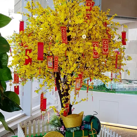 Làm Thế Nào Để Trang Trí Cây Mai Ngày Tết Một Cách Đẹp Và Ấn Tượng?