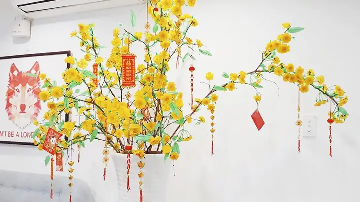 Làm Thế Nào Để Trang Trí Cây Mai Ngày Tết Một Cách Đẹp Và Ấn Tượng?