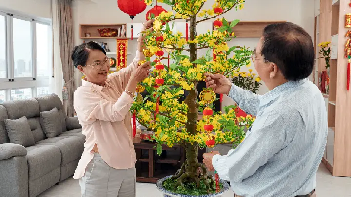 Làm Thế Nào Để Trang Trí Cây Mai Ngày Tết Một Cách Đẹp Và Ấn Tượng?