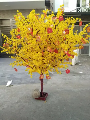 Làm Thế Nào Để Trang Trí Cây Mai Ngày Tết Một Cách Đẹp Và Ấn Tượng?