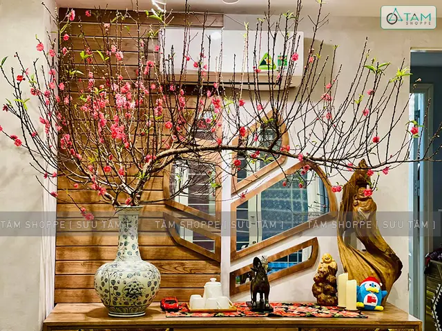 Làm Thế Nào Để Trang Trí Cây Mai Ngày Tết Một Cách Đẹp Và Ấn Tượng?