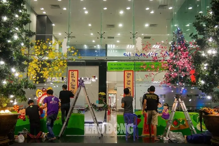 Làm Thế Nào Để Trang Trí Cây Mai Ngày Tết Một Cách Đẹp Và Ấn Tượng?