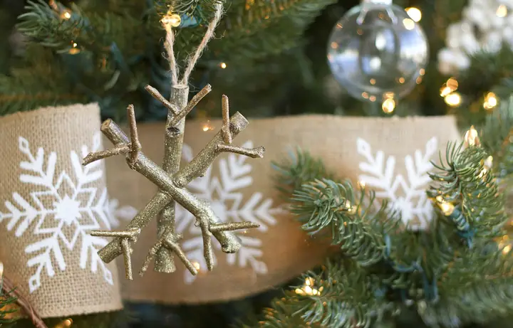 Làm Hoa Tuyết Từ Nhánh Cây