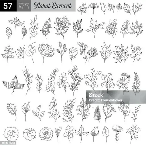 Làm Thế Nào Để Tải Về Họa Tiết Trang Trí Đường Viền Miễn Phí?