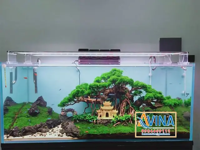 Mẫu Trang Trí Bể Cá Thủy Sinh Layout Bonsai
